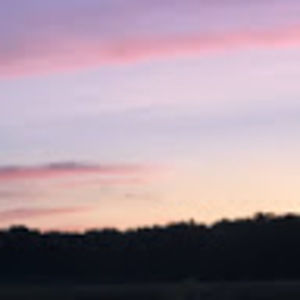 Meet your Posher, Téa